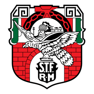 Stfrm Logo PNG Vector