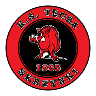 Tecza Skrzynki Logo PNG Vector