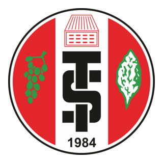 Turgutluspor K Logo PNG Vector