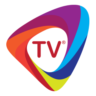 TV Logo PNG Vector
