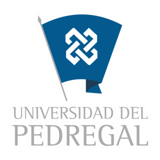 Universidad Del Pedregal Logo PNG Vector