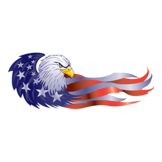 USA Logo PNG Vector