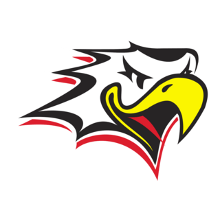 Vaasan Sport Logo PNG Vector