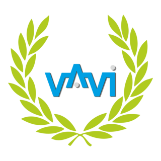 VAVI Logo PNG Vector