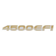 4500 EFI Logo PNG Vector