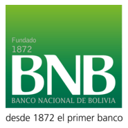 Banco Nacional de Bolivia Logo PNG Vector