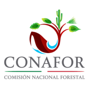 CONAFOR Logo PNG Vector