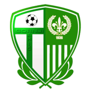 Gornji Rahic Logo PNG Vector