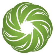 GREEN CUSTOM OBJECT Logo PNG Vector