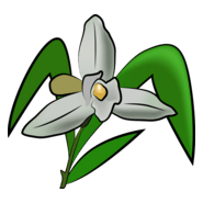 Monja Blanca Logo PNG Vector