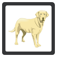 PETS ALLOWED SIGN Logo PNG Vector