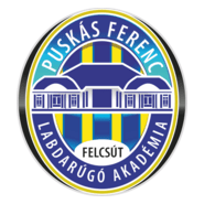 Puskás Akadémia FC Logo PNG Vector