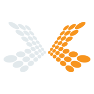 REFLECTIVE DESIGN Logo PNG Vector