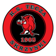 Tecza Skrzynki Logo PNG Vector