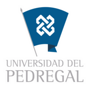 Universidad Del Pedregal Logo PNG Vector
