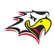 Vaasan Sport Logo PNG Vector