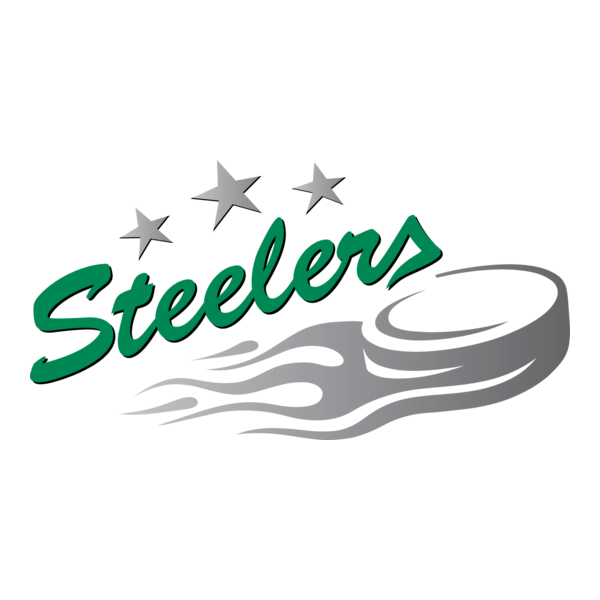 Bietigheim Steelers Logo PNG Vector