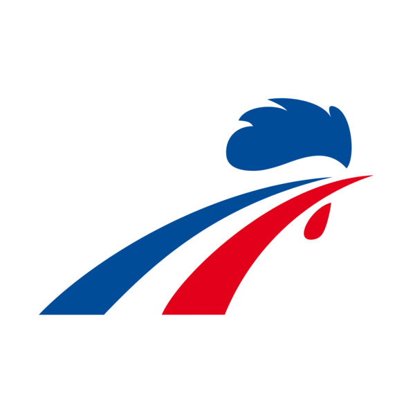 France National Ice Hockey Team Logo PNG Vector