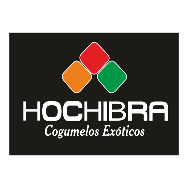 Hochibra Logo PNG Vector