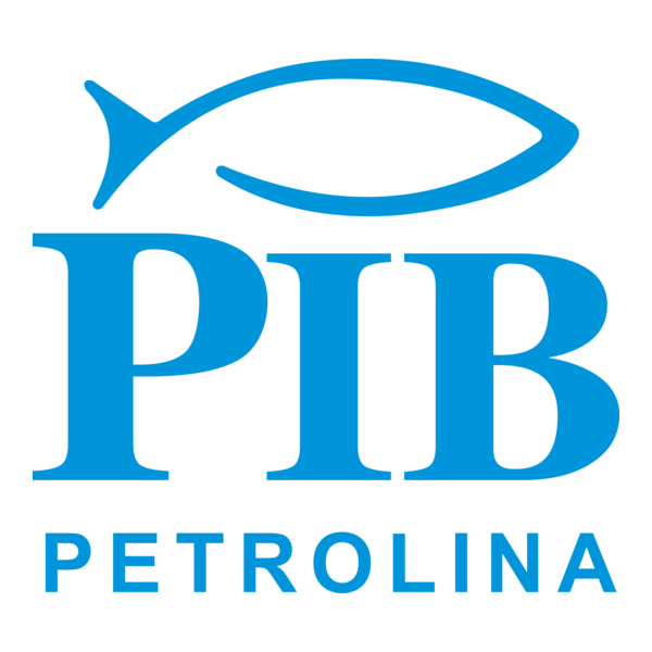 PIB - Primeira Igreja Batista de Petrolina - PE Logo PNG Vector