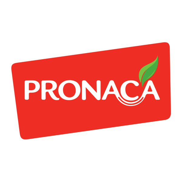 Pronaca Logo PNG Vector