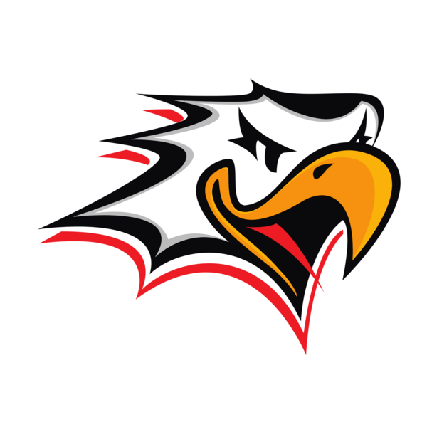 Vaasan Sport Logo PNG Vector