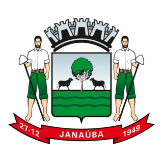 Bandeira Janaúba Logo PNG Vector