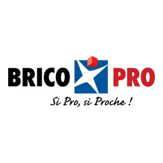 Brico Pro Logo PNG Vector