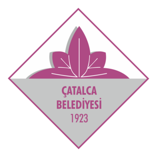 Catalca Belediyesi Logo PNG Vector