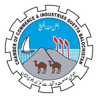 Chamber Of Commerce Industries Quetta Balochistan Logo PNG Vector