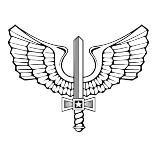 Comando da aeronáutica Logo PNG Vector