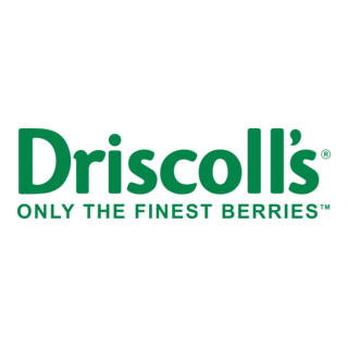 Discoll's Logo PNG Vector