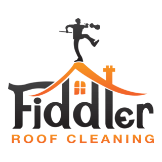Fiddler Logo PNG Vector