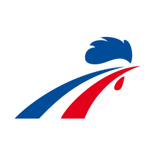 France National Ice Hockey Team Logo PNG Vector