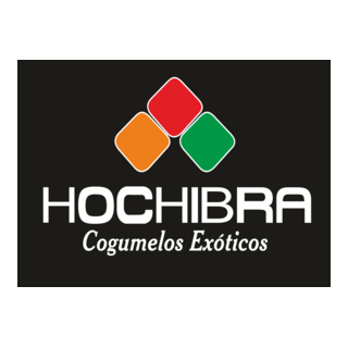 Hochibra Logo PNG Vector