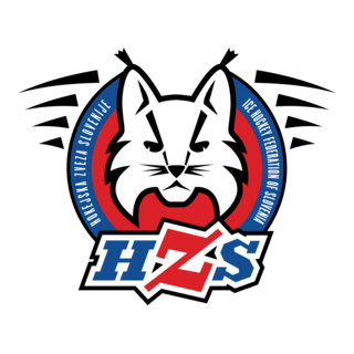 Ice Hockey Federation of Slovenia Logo PNG Vector