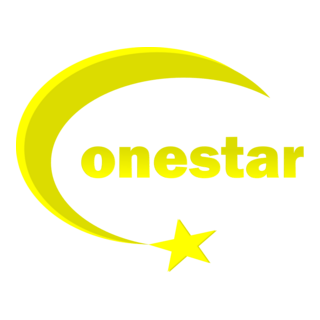One Star Logo PNG Vector