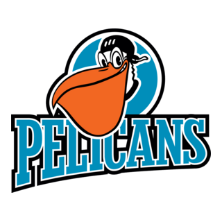 Pelicans Logo PNG Vector