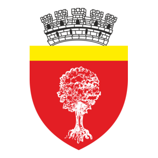 Primaria Onesti Logo PNG Vector