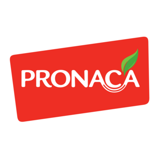 Pronaca Logo PNG Vector