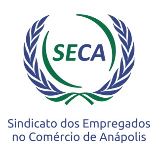 Seca Logo PNG Vector
