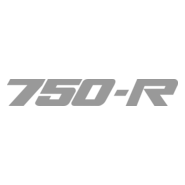 Kawasaki GPX 750r Logo PNG Vector