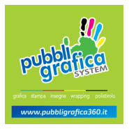 Pubbligrafica System Logo PNG Vector