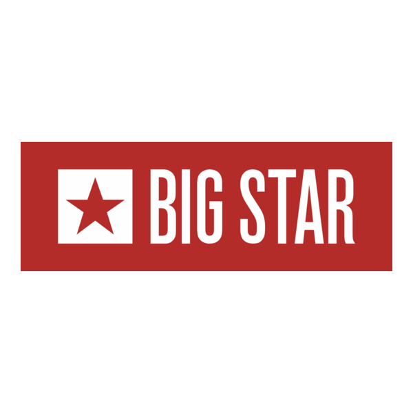 Big Star Logo PNG Vector