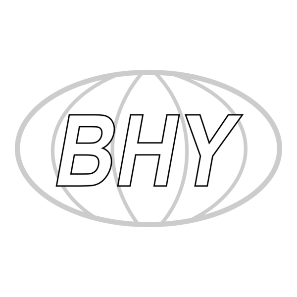 Bosphorus Airways Logo PNG Vector