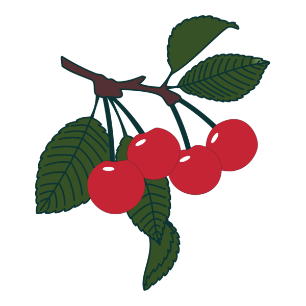 Cherry Logo PNG Vector