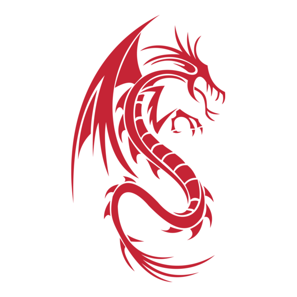 Dragon Logo PNG Vector