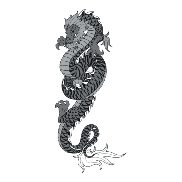 Dragon Logo PNG Vector