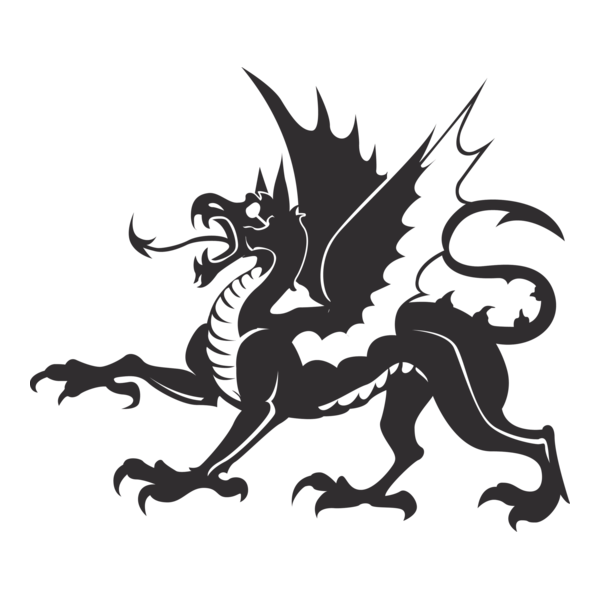 Dragon Logo PNG Vector