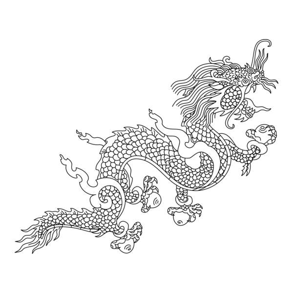 Dragon Logo PNG Vector